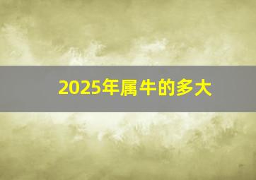 2025年属牛的多大