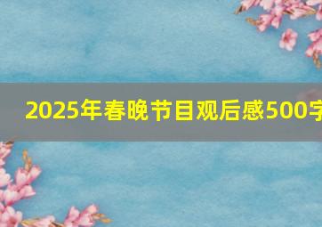 2025年春晚节目观后感500字