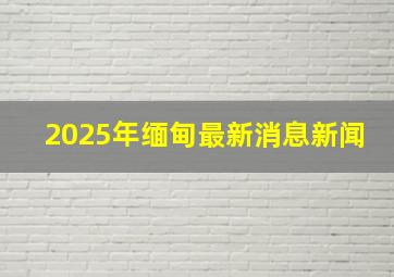 2025年缅甸最新消息新闻