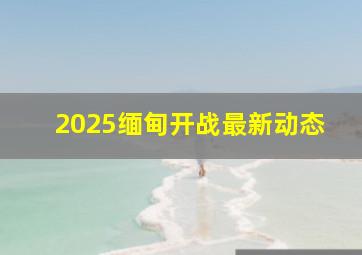 2025缅甸开战最新动态