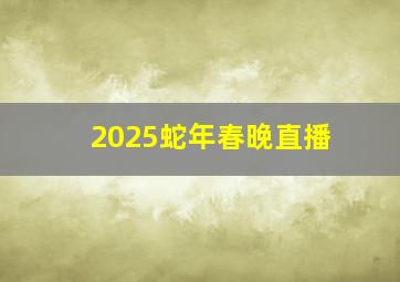 2025蛇年春晚直播