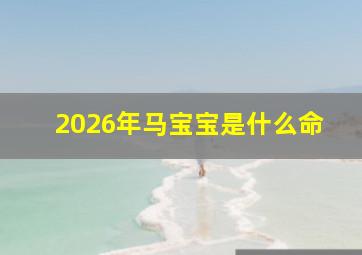 2026年马宝宝是什么命