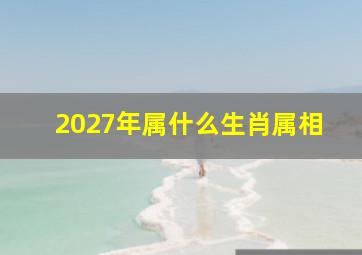 2027年属什么生肖属相