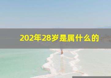 202年28岁是属什么的