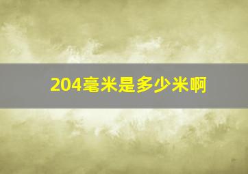 204毫米是多少米啊