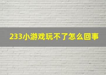 233小游戏玩不了怎么回事