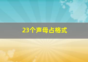 23个声母占格式