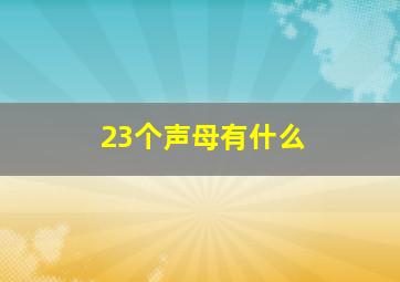 23个声母有什么