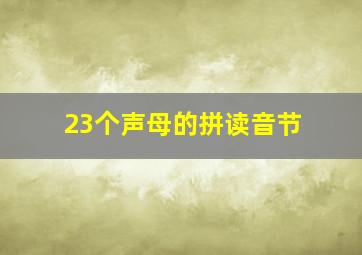 23个声母的拼读音节