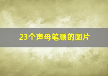 23个声母笔顺的图片