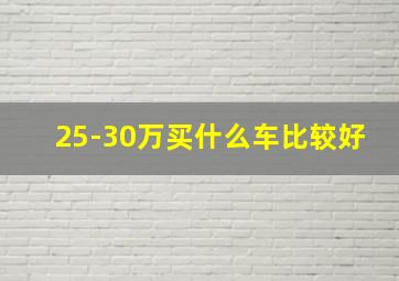 25-30万买什么车比较好