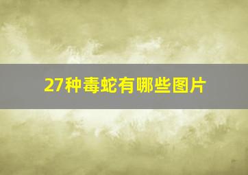 27种毒蛇有哪些图片