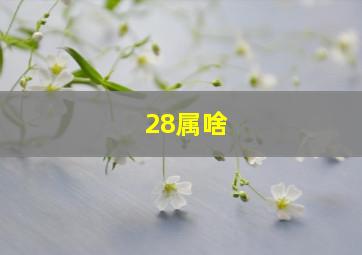 28属啥