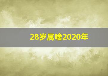 28岁属啥2020年