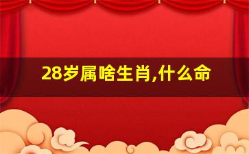 28岁属啥生肖,什么命