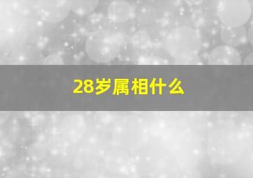 28岁属相什么