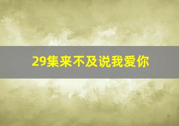 29集来不及说我爱你