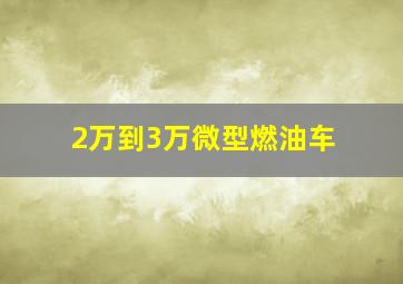 2万到3万微型燃油车