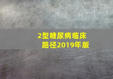 2型糖尿病临床路径2019年版