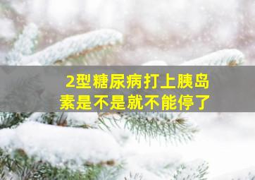 2型糖尿病打上胰岛素是不是就不能停了