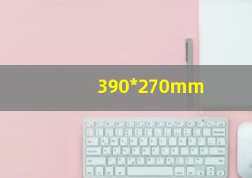 390*270mm