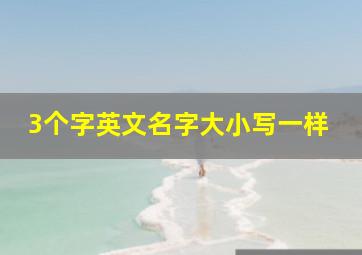 3个字英文名字大小写一样