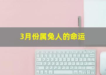 3月份属兔人的命运