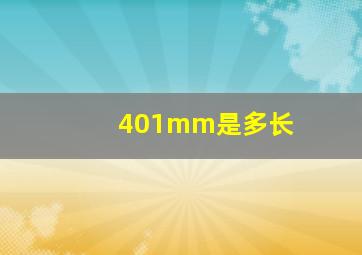 401mm是多长