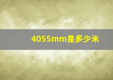 4055mm是多少米