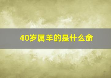 40岁属羊的是什么命