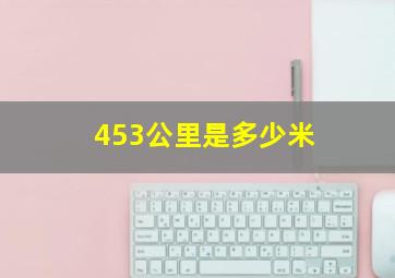 453公里是多少米