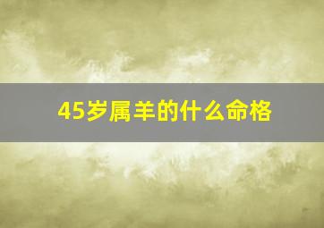 45岁属羊的什么命格