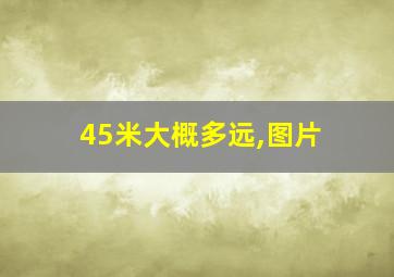 45米大概多远,图片