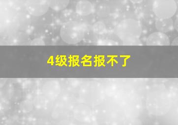 4级报名报不了