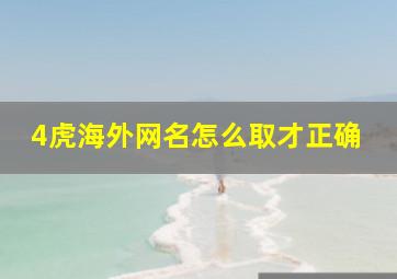 4虎海外网名怎么取才正确