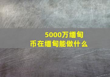 5000万缅甸币在缅甸能做什么