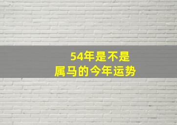 54年是不是属马的今年运势