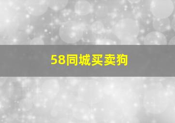 58同城买卖狗