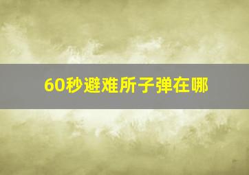 60秒避难所子弹在哪