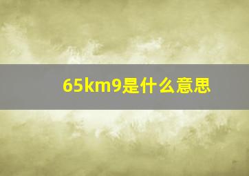 65km9是什么意思