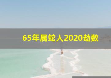 65年属蛇人2020劫数