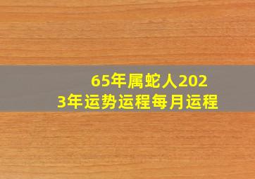 65年属蛇人2023年运势运程每月运程