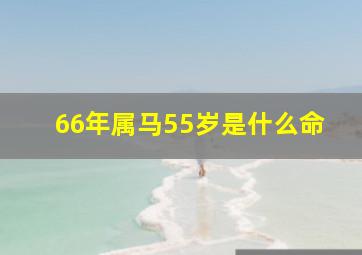 66年属马55岁是什么命