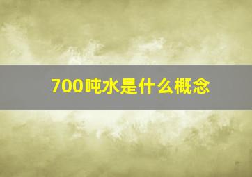 700吨水是什么概念