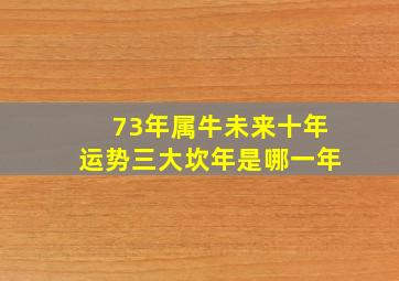 73年属牛未来十年运势三大坎年是哪一年