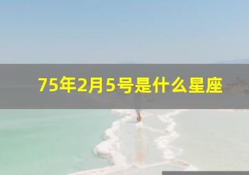 75年2月5号是什么星座