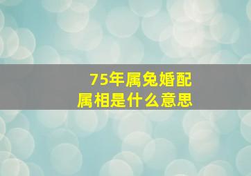 75年属兔婚配属相是什么意思