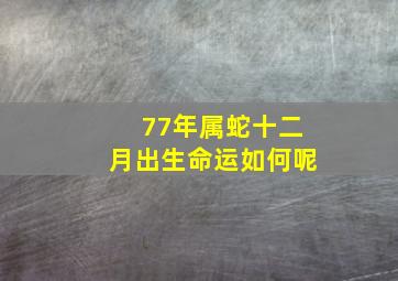 77年属蛇十二月出生命运如何呢