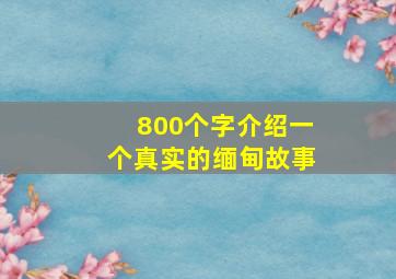 800个字介绍一个真实的缅甸故事