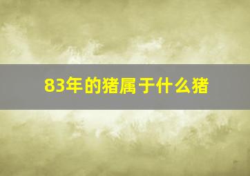 83年的猪属于什么猪